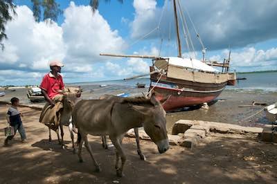 Dhow & donkey in Lamu, Kenya